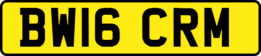 BW16CRM