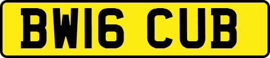 BW16CUB
