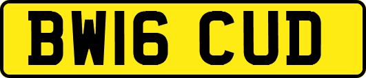 BW16CUD