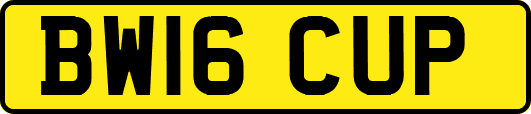 BW16CUP