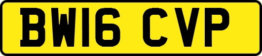 BW16CVP