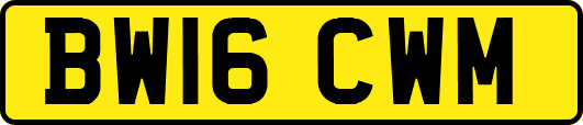 BW16CWM