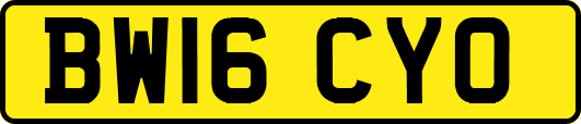 BW16CYO