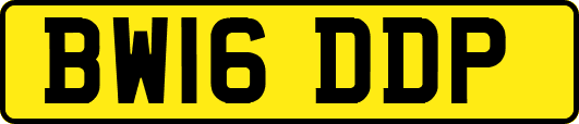 BW16DDP