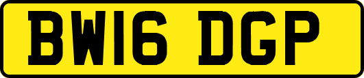 BW16DGP