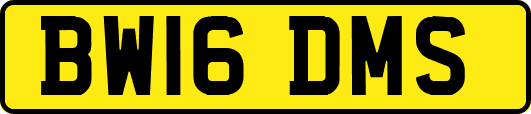 BW16DMS