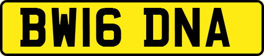 BW16DNA