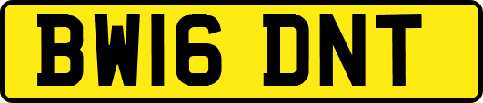 BW16DNT