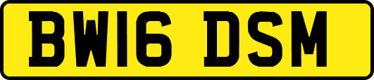 BW16DSM