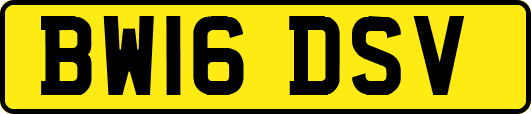 BW16DSV
