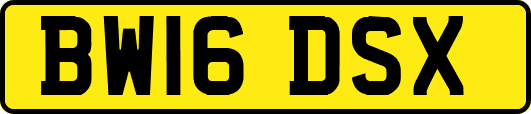 BW16DSX
