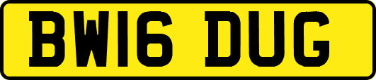 BW16DUG
