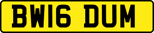 BW16DUM
