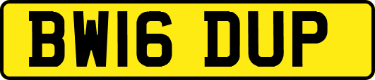 BW16DUP