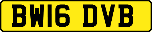 BW16DVB