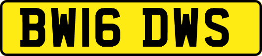 BW16DWS
