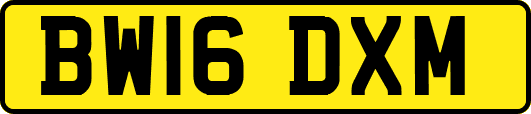 BW16DXM