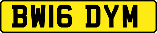 BW16DYM