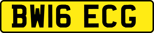 BW16ECG