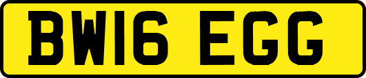 BW16EGG