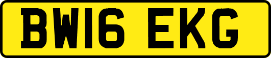 BW16EKG