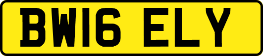 BW16ELY