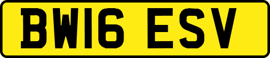 BW16ESV