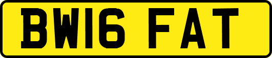 BW16FAT