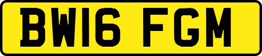 BW16FGM