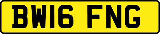 BW16FNG