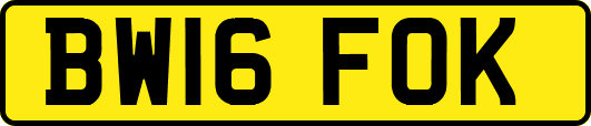BW16FOK