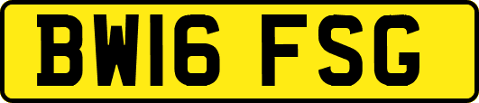 BW16FSG