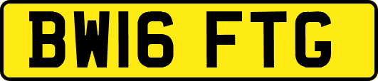 BW16FTG