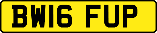 BW16FUP