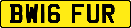 BW16FUR