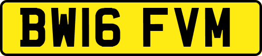 BW16FVM