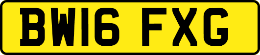 BW16FXG