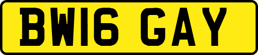 BW16GAY