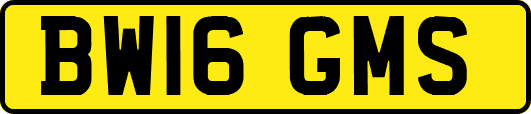 BW16GMS