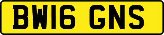 BW16GNS