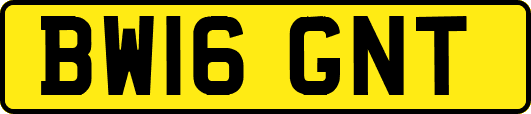 BW16GNT