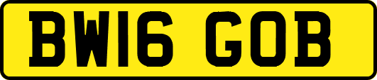 BW16GOB
