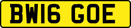 BW16GOE