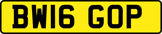 BW16GOP