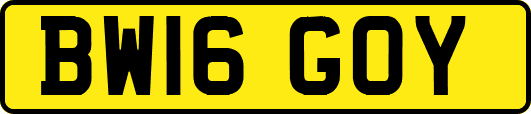 BW16GOY