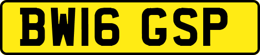 BW16GSP