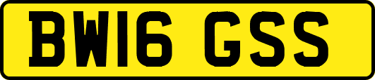 BW16GSS