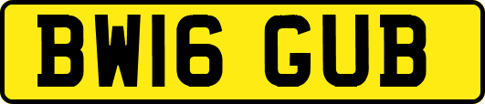 BW16GUB