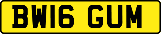 BW16GUM