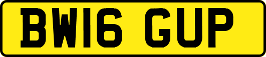BW16GUP